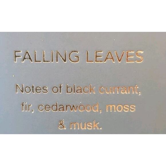 Sand And Fog Diffuser Oils 4 Pack Fragrance Oils Apple Leaves Pear Pumpkin - Picture 4 of 6